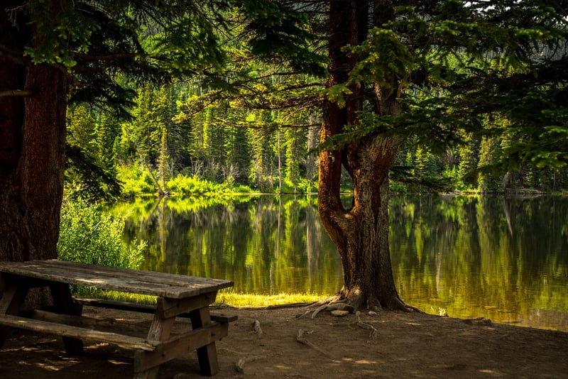 Arbor Bench Garden