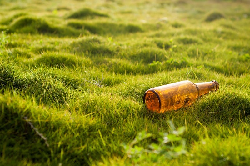 Hanging Bottle Garden