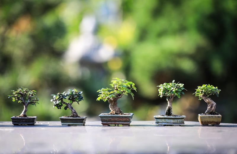 Indoor Vertical Garden Ideas